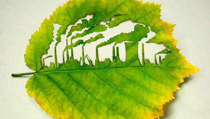 Зеленый листок