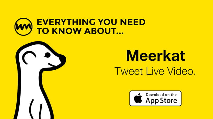 Meerkat