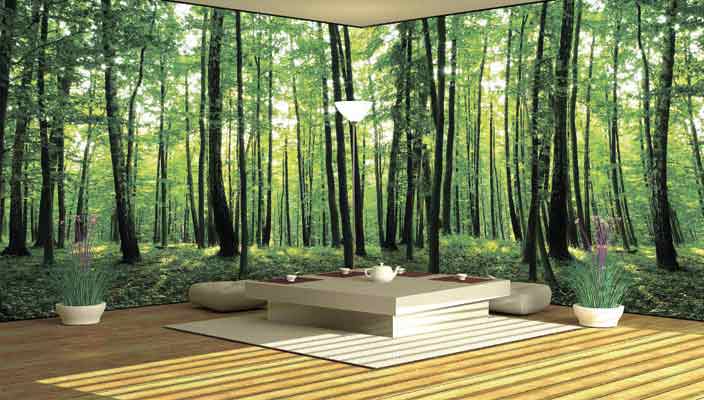 walldeco.ua: фотообои на заказ в Украине. Большой каталог