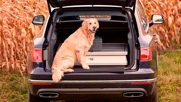 Bentley Bentayga Field Sports: пёс в комплектацию не входит