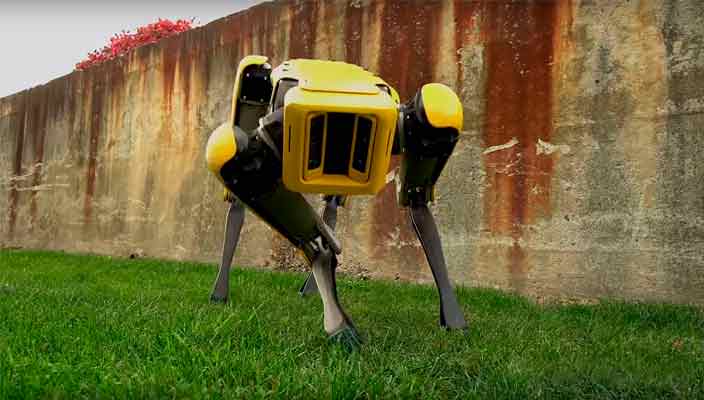 В Boston Dynamics создан робот-собака SpotMini | видео