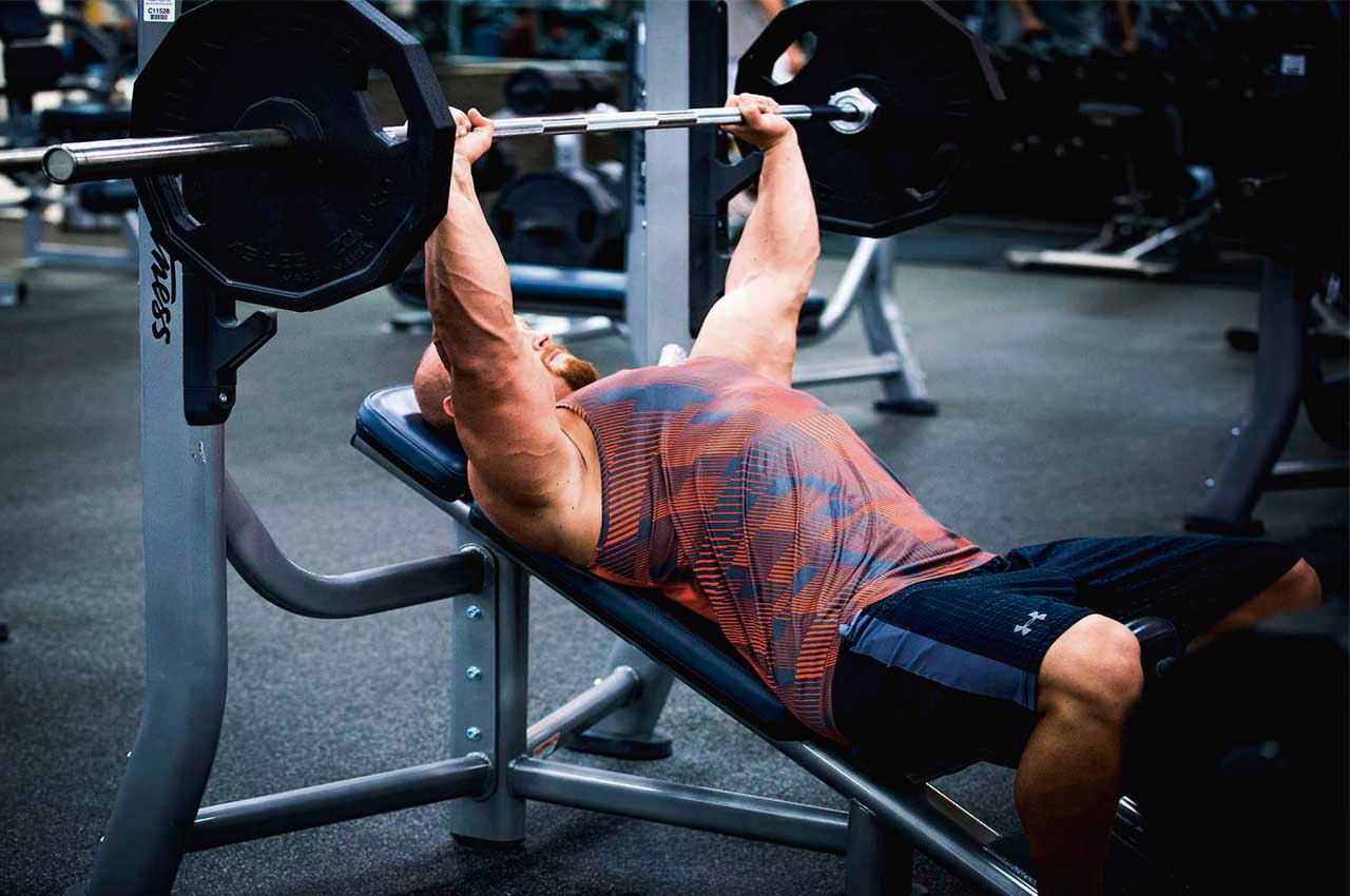 Стоит ли купить скамью для жима лежа для дома онлайн на Zhelezzo