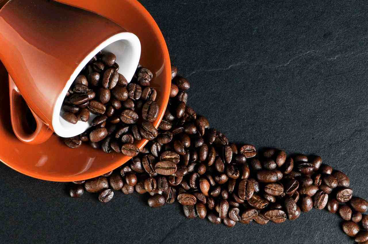 Кофе как бизнес: самые популярные форматы в 2021 году