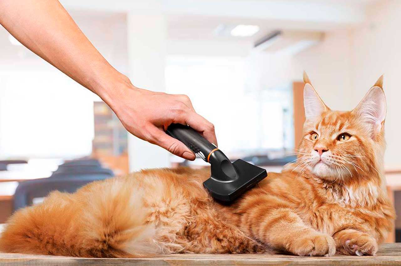 Что в себя включает груминг для животных