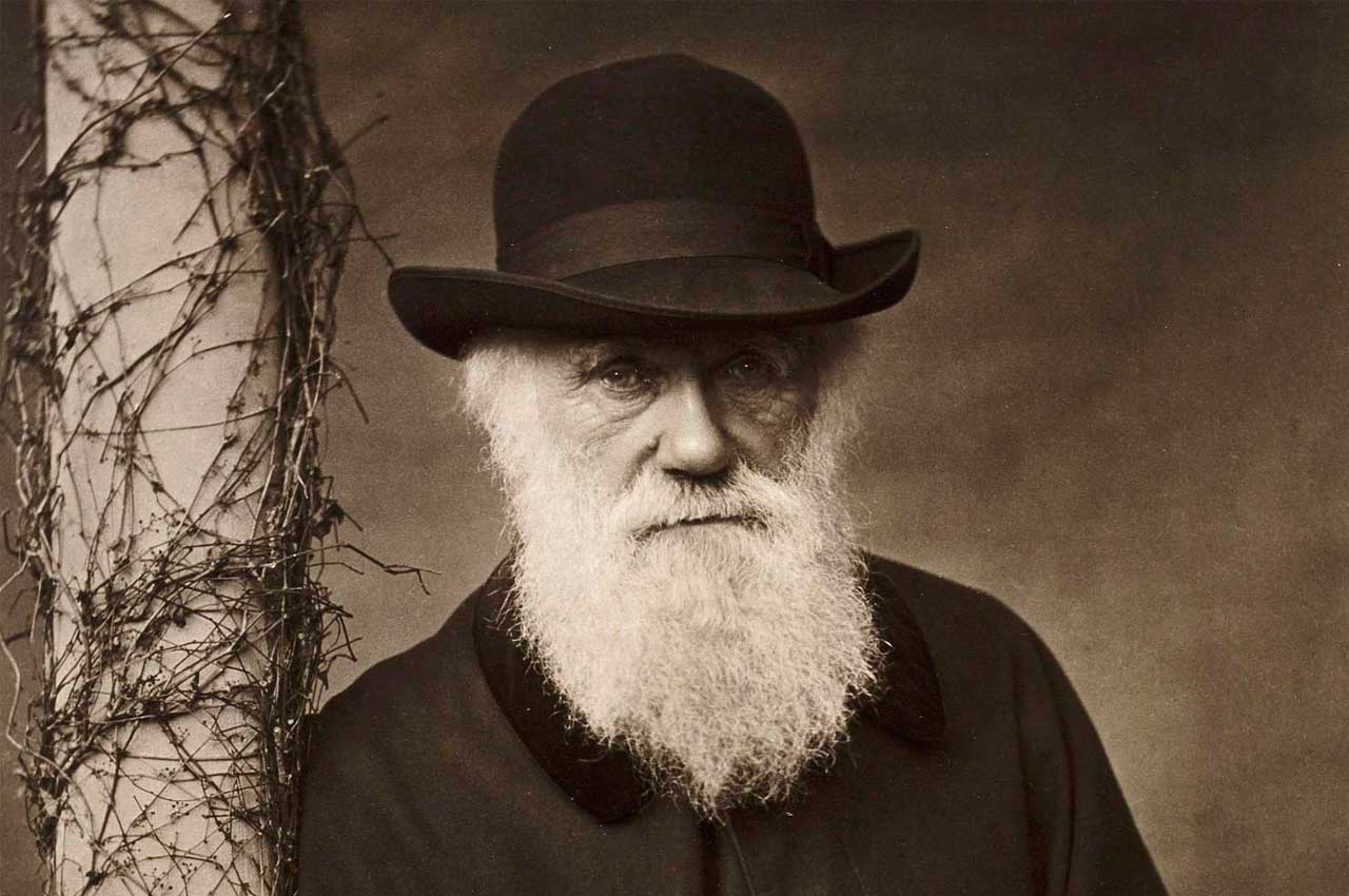 Рукописи Чарльза Дарвина продадут на аукционе дороже £1 млн