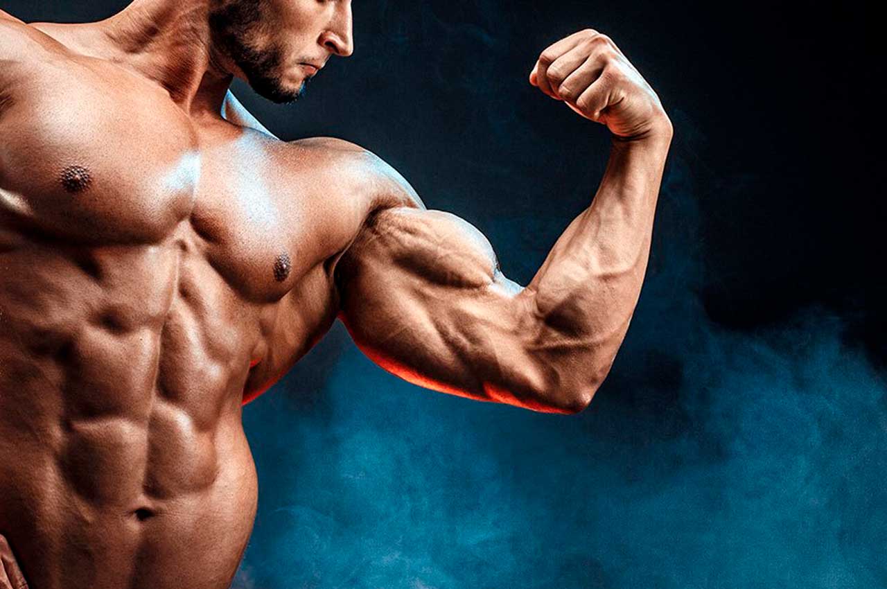 Все, что нужно знать новичку перед началом стероидного курса