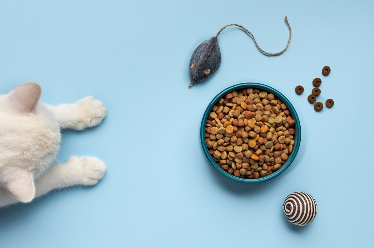 Каким должен быть качественный корм для кошек