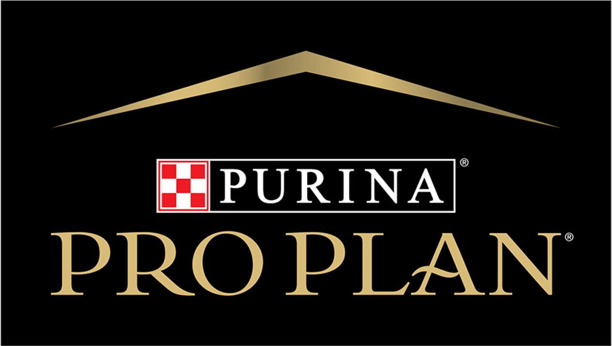 Корм Purina Pro Plan: особенности