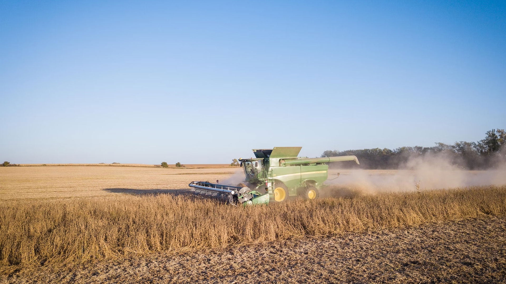 Покупка сельскохозяйственных культур: какие факторы влияют на цены и спрос?