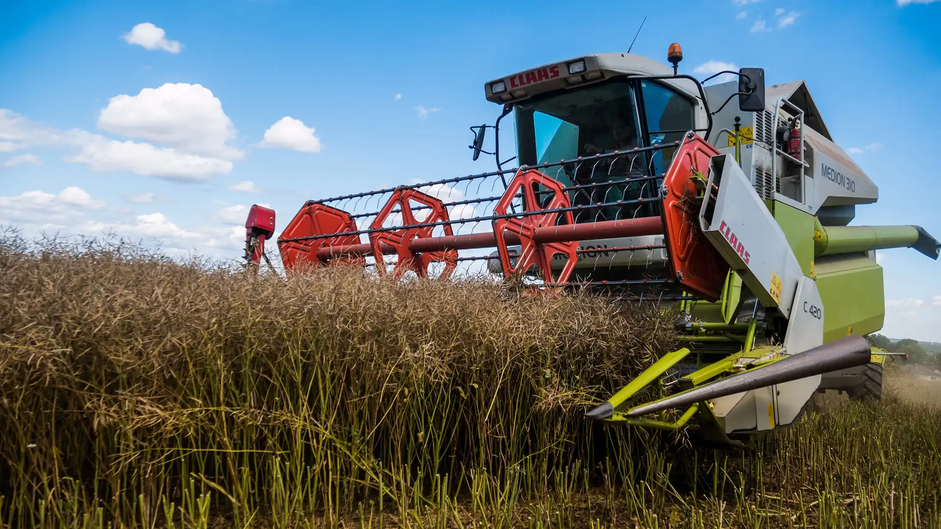 Процесс сортировки и хранения сельскохозяйственных продуктов: важные шаги для покупателей