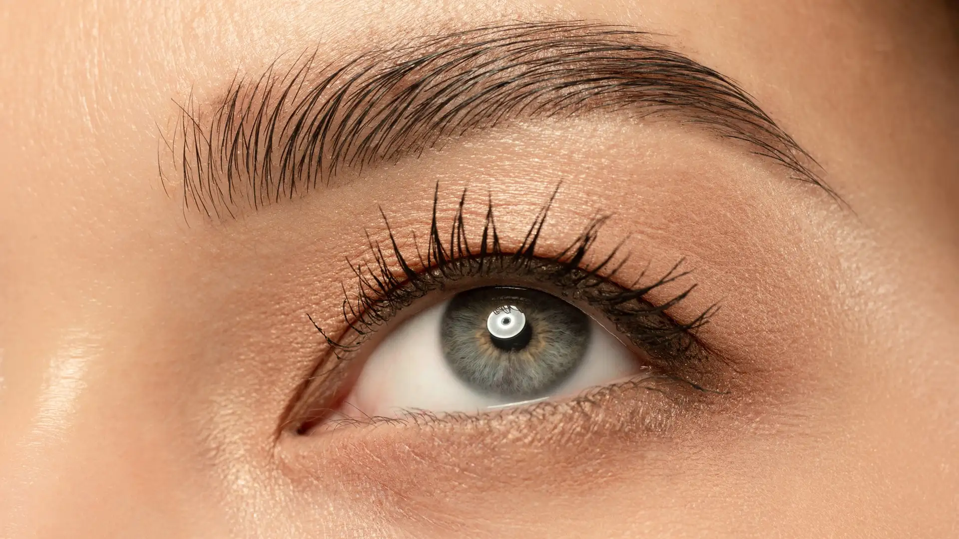 Хна для брів або старовинні секрети шарму для сучасного макіяжу