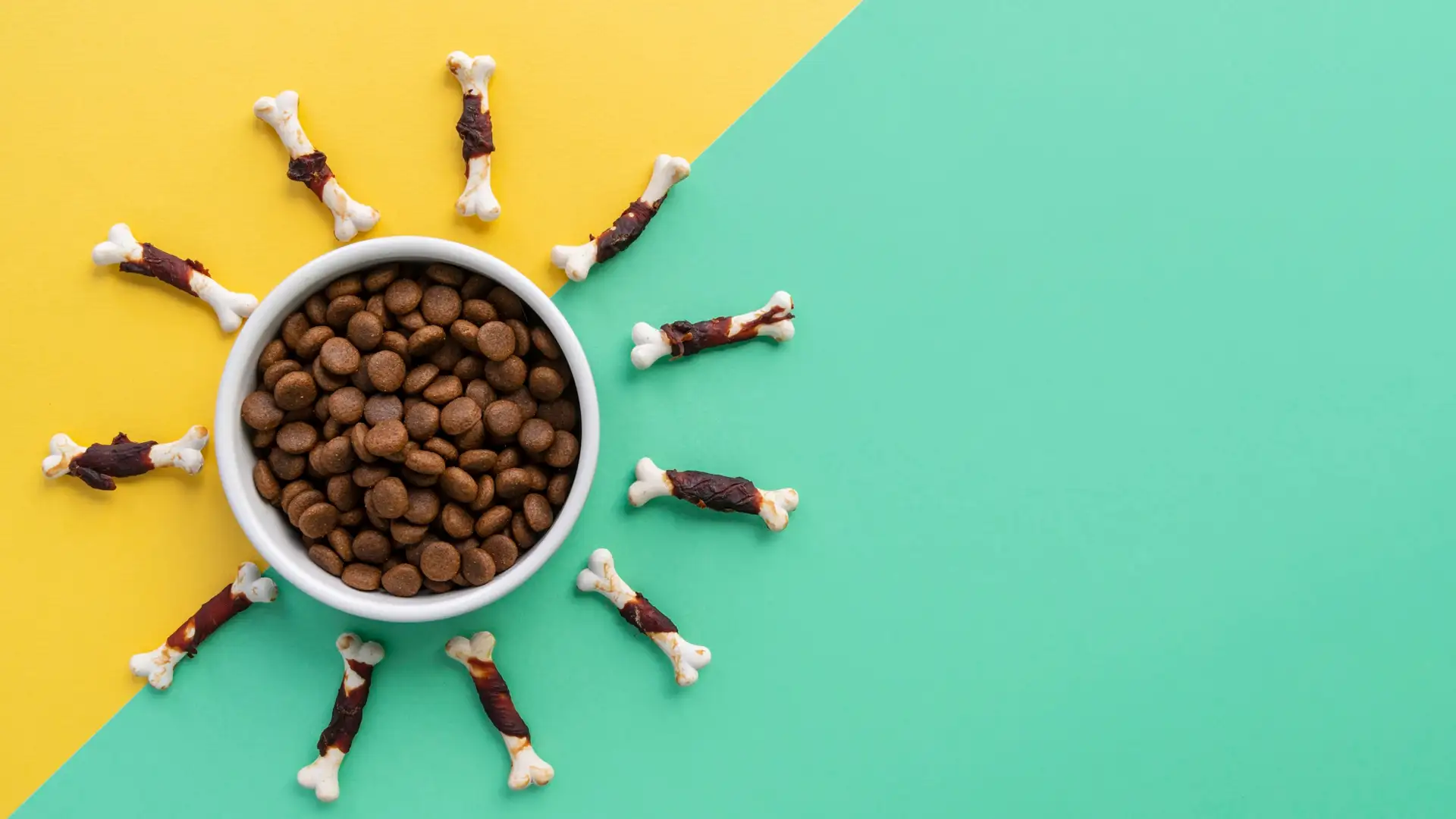 Як обрати сухий корм для собаки. Ознаки його якості та користі