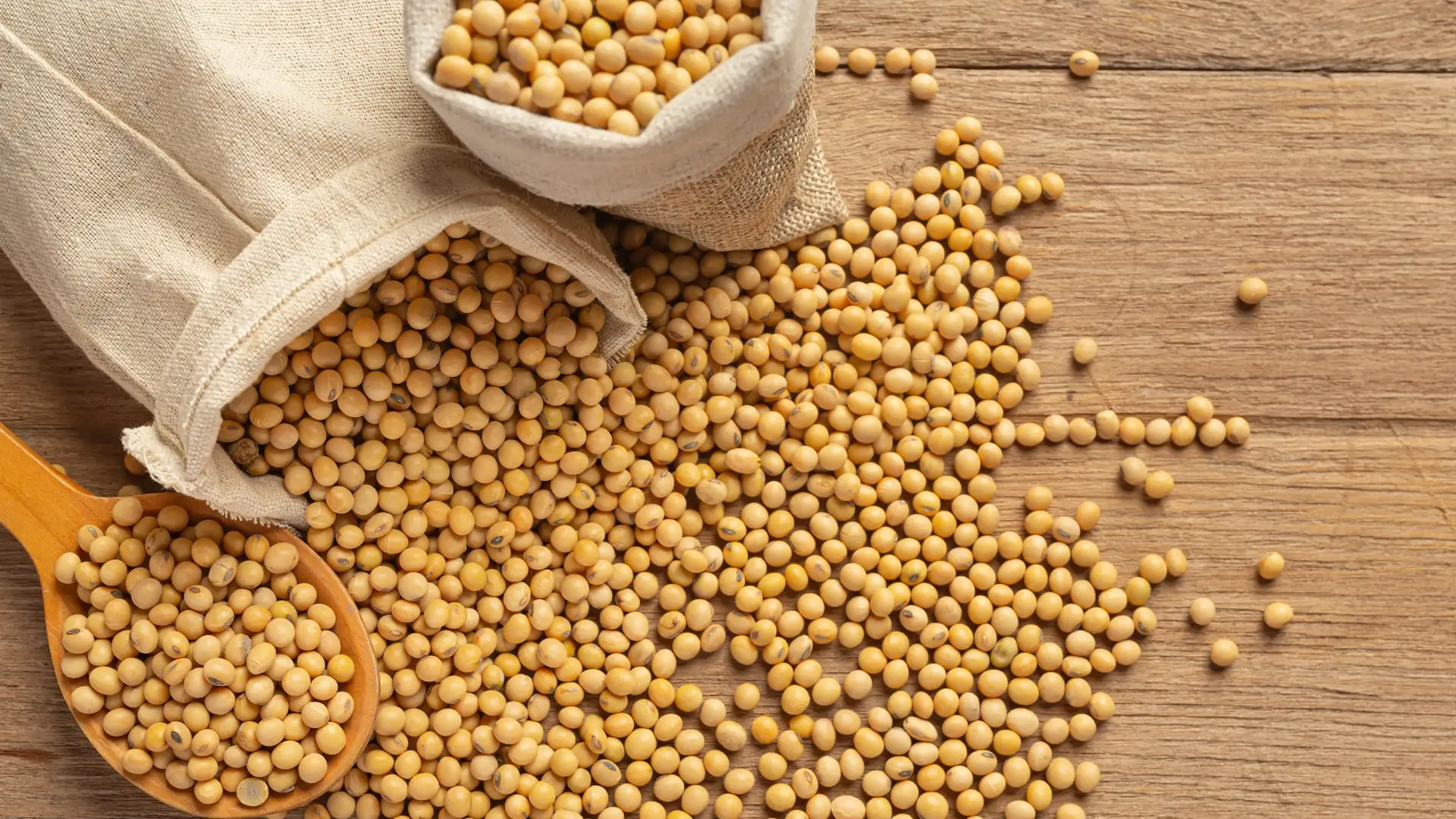 Sustainable Sourcing: The Importance of Sustainable Fishing Practices for Sushi and Sashimi