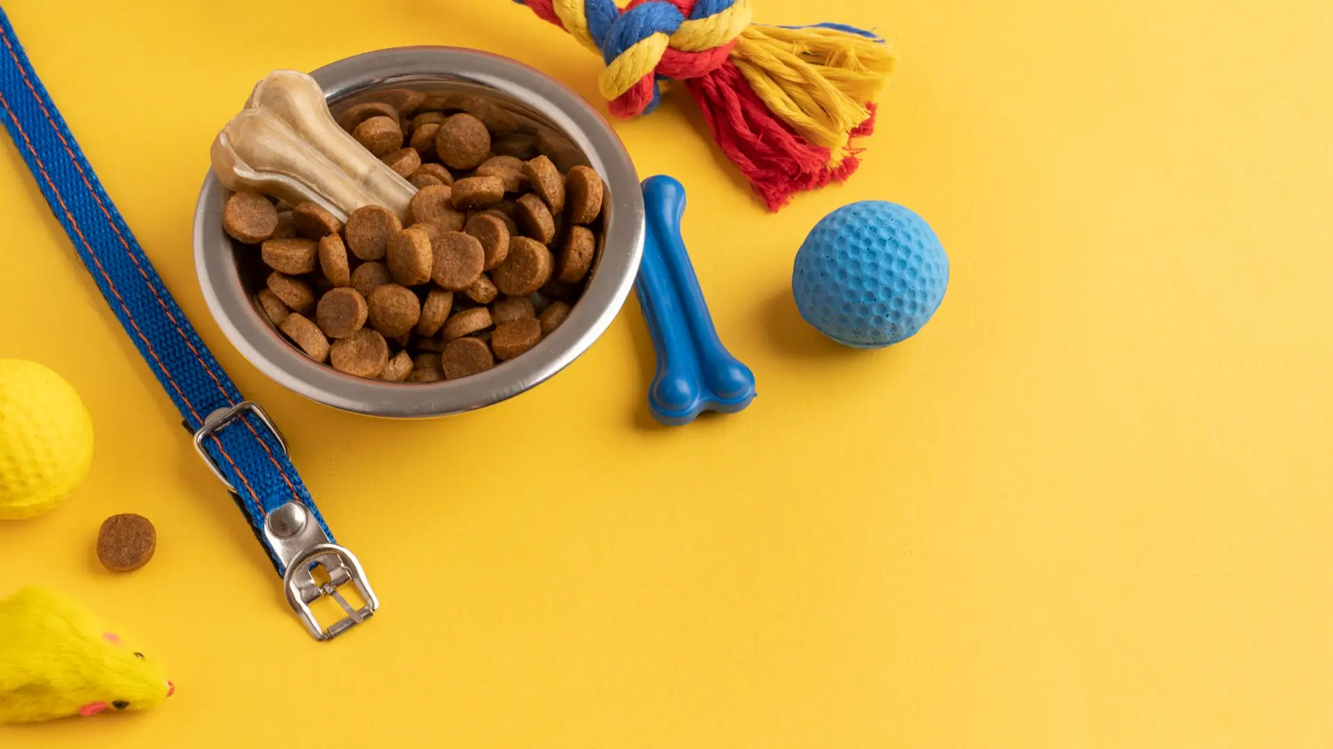 Корм для собак. Виды и классы. Бренды, которым можно доверять