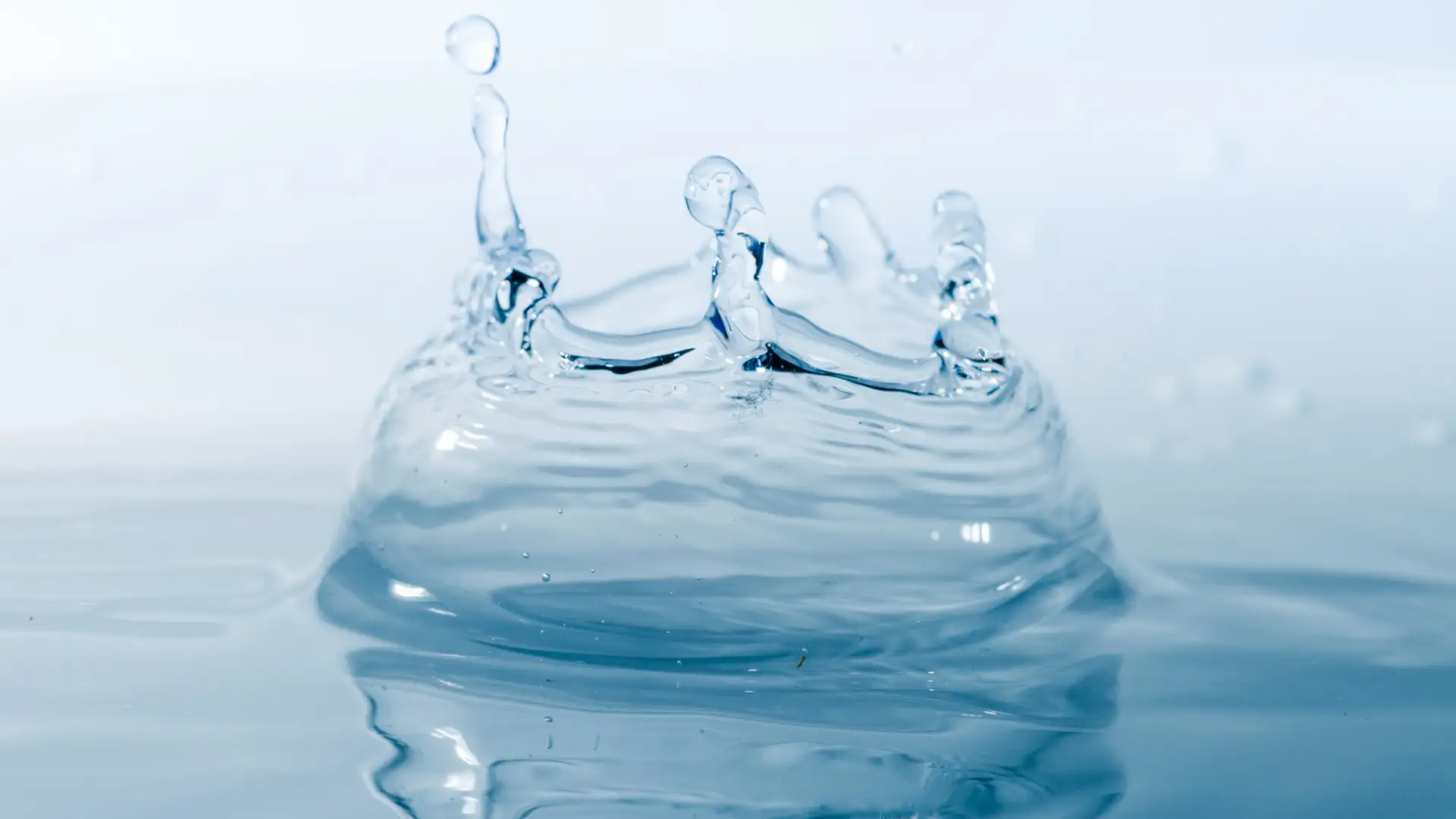 Выбор дестиллятора. Основные аспекты, которые нужно учесть