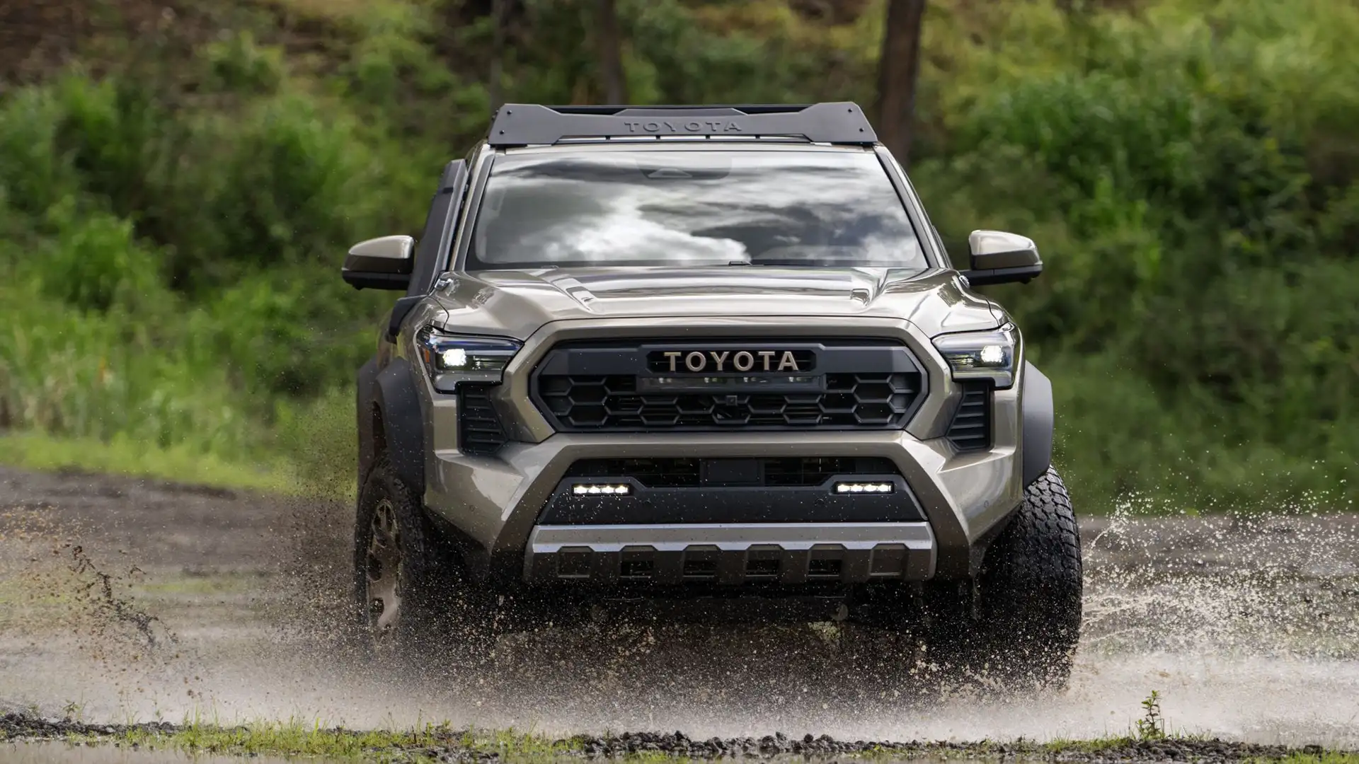 Світові бестселери Toyota, що продаються в Україні у 2024 році