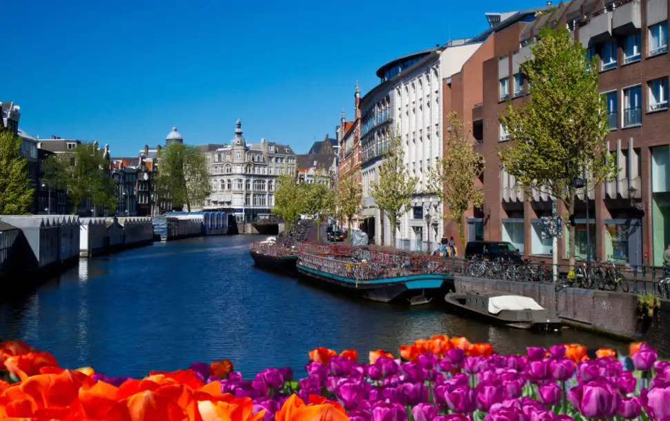 Топ 5 вакансій для українців в Нідерландах